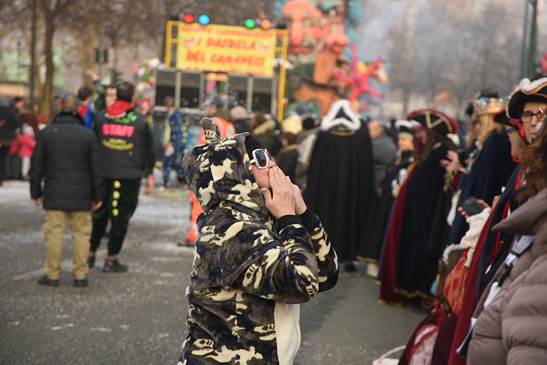 Sfilata carri Carnevale di Torino_140.jpg